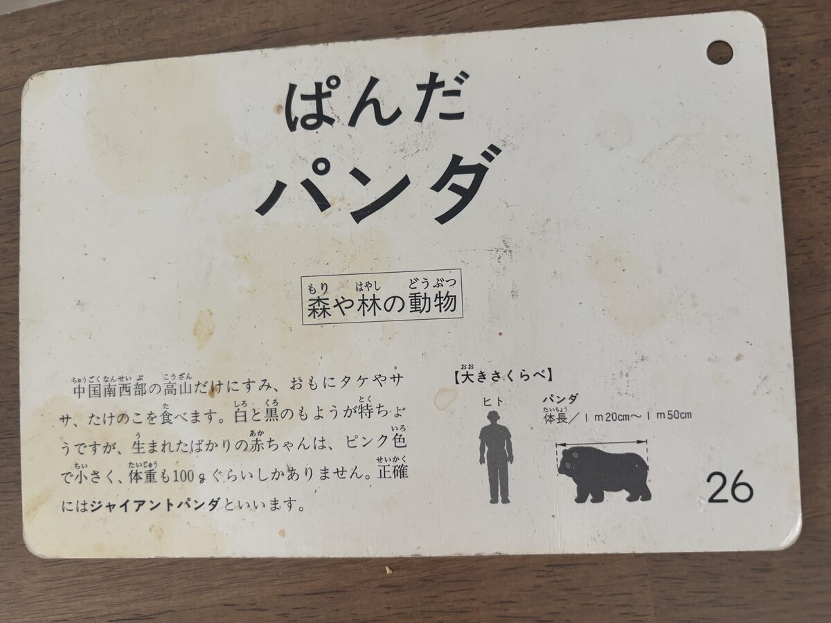 くもんの絵カード「ぱんだ」の裏面。ひらがなと解説つき